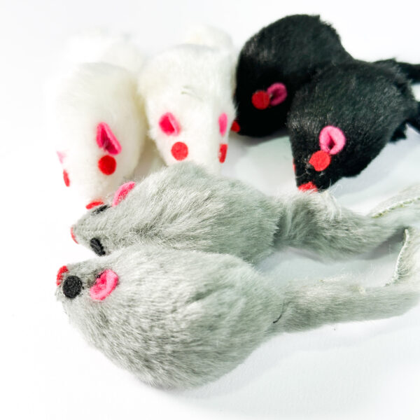 Brinquedo Para Gato - Modelo: Rato - 6 Unidades - Imagem 5